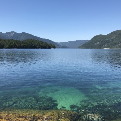 Community Activities