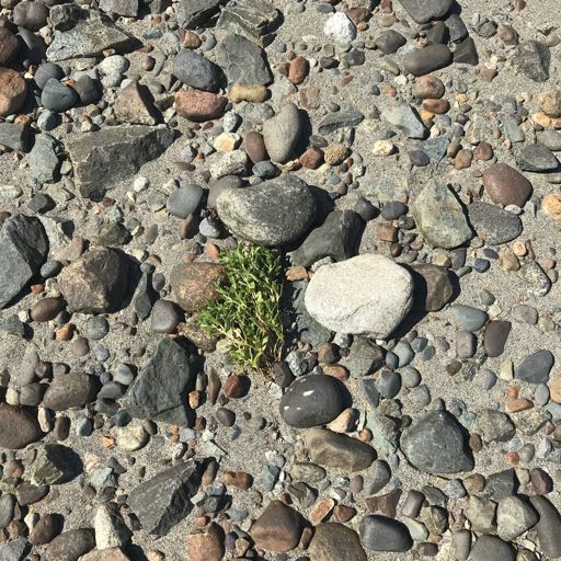 Scholarly Activities and Media Coverage